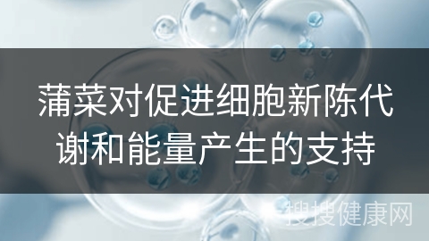 蒲菜对促进细胞新陈代谢和能量产生的支持