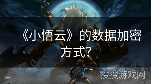 《小悟云》的数据加密方式？