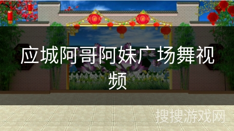 应城阿哥阿妹广场舞视频