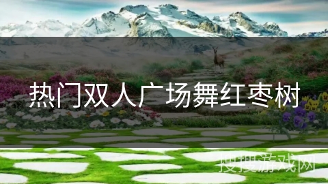 热门双人广场舞红枣树 热门双人广场舞红枣树