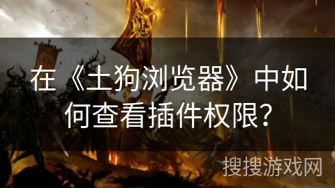 在《土狗浏览器》中如何查看插件权限？