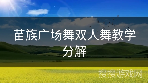 苗族广场舞双人舞教学分解 苗族广场舞双人舞教学分解