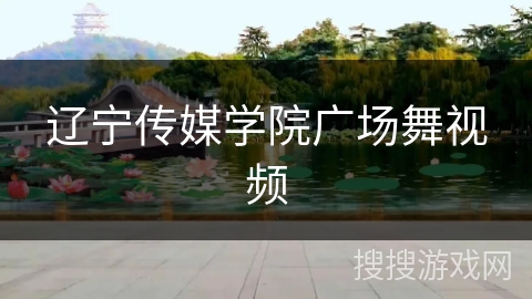 辽宁传媒学院广场舞视频