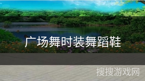 广场舞时装舞蹈鞋 广场舞时装舞蹈鞋