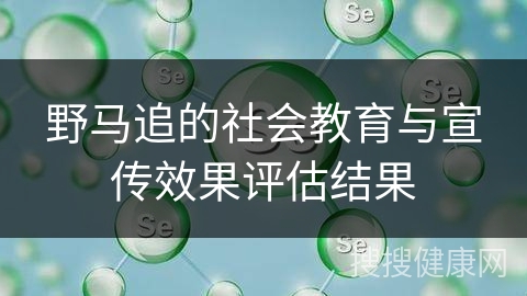 野马追的社会教育与宣传效果评估结果