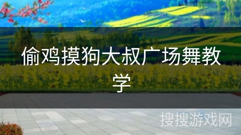 偷鸡摸狗大叔广场舞教学