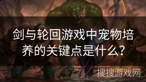 剑与轮回游戏中宠物培养的关键点是什么？