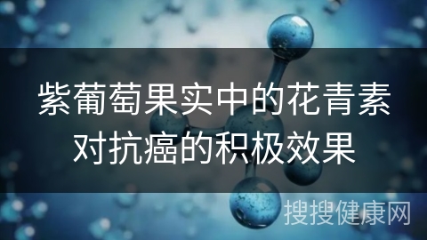 紫葡萄果实中的花青素对抗癌的积极效果