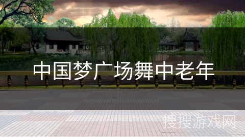 中国梦广场舞中老年