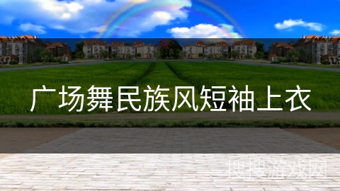 广场舞民族风短袖上衣 广场舞民族风短袖上衣