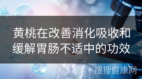 黄桃在改善消化吸收和缓解胃肠不适中的功效