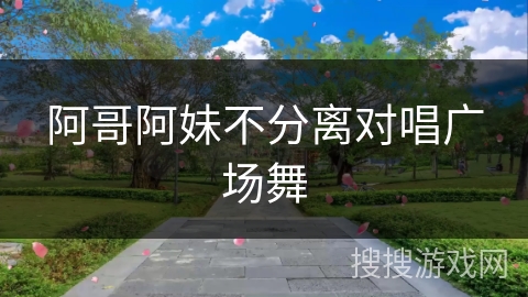 阿哥阿妹不分离对唱广场舞