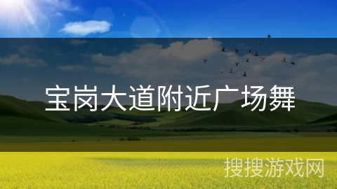 宝岗大道附近广场舞 宝岗大道附近广场舞