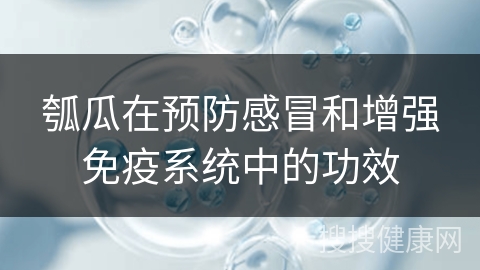 瓠瓜在预防感冒和增强免疫系统中的功效