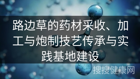 路边草的药材采收、加工与炮制技艺传承与实践基地建设