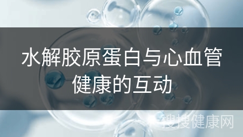 水解胶原蛋白与心血管健康的互动