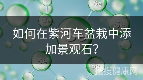 如何在紫河车盆栽中添加景观石？