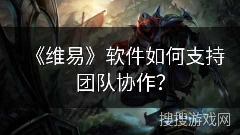 《维易》软件如何支持团队协作? 《维易》软件如何支持团队协作?