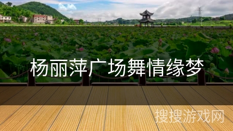 杨丽萍广场舞情缘梦