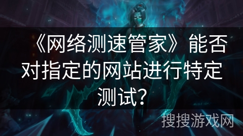 《网络测速管家》能否对指定的网站进行特定测试？