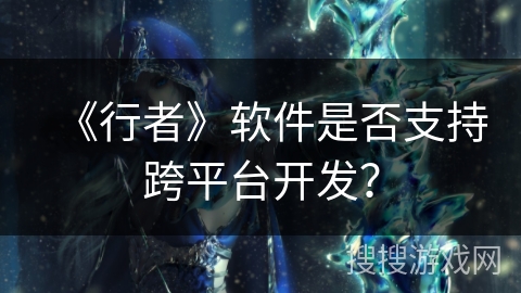 《行者》软件是否支持跨平台开发？