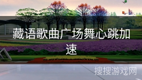 藏语歌曲广场舞心跳加速 藏语歌曲广场舞心跳加速