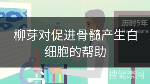 柳芽对促进骨髓产生白细胞的帮助