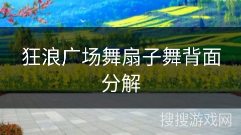 狂浪广场舞扇子舞背面分解