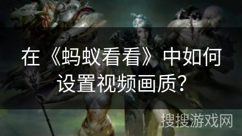 在《蚂蚁看看》中如何设置视频画质? 在《蚂蚁看看》中如何设置视频画质?