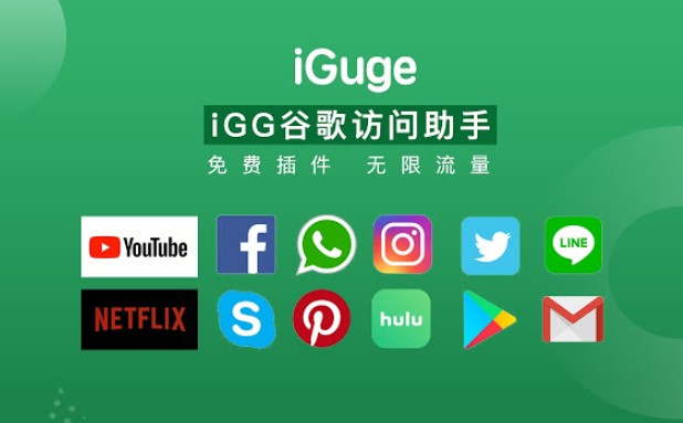 《谷歌访问助手》介绍