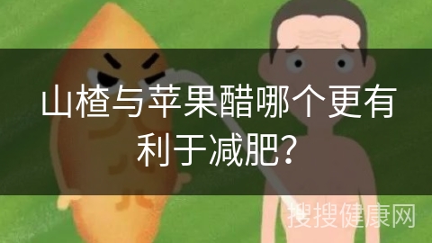 山楂与苹果醋哪个更有利于减肥？