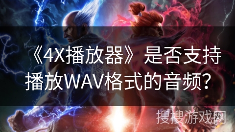 《4X播放器》是否支持播放WAV格式的音频？