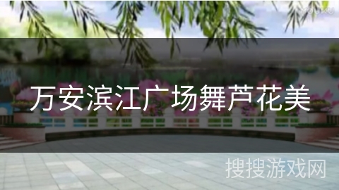 万安滨江广场舞芦花美