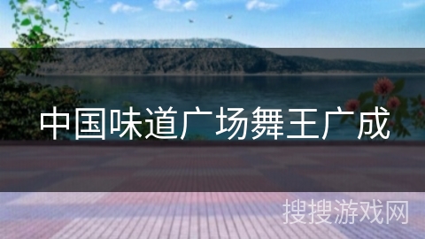 中国味道广场舞王广成 中国味道广场舞王广成