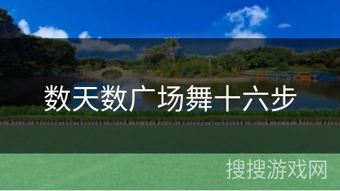 数天数广场舞十六步