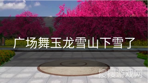 广场舞玉龙雪山下雪了