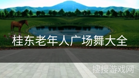 桂东老年人广场舞大全