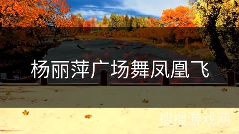 杨丽萍广场舞凤凰飞