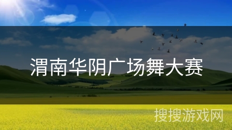 渭南华阴广场舞大赛