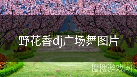 野花香dj广场舞图片