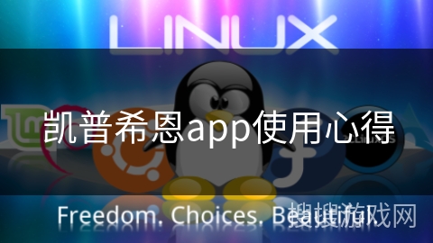 凯普希恩app使用心得