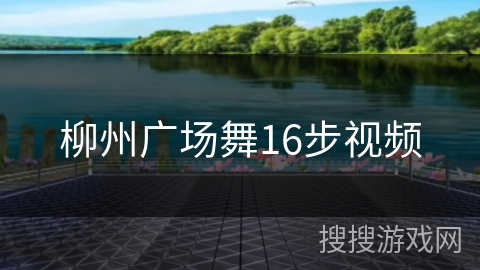 柳州广场舞16步视频
