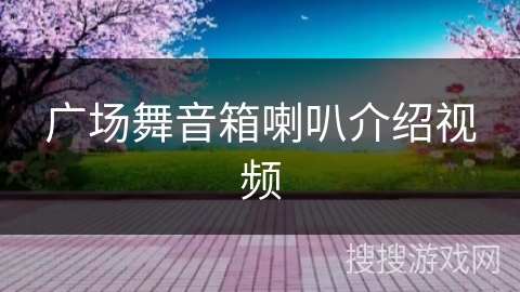 广场舞音箱喇叭介绍视频