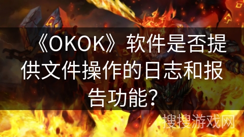 《OKOK》软件是否提供文件操作的日志和报告功能？