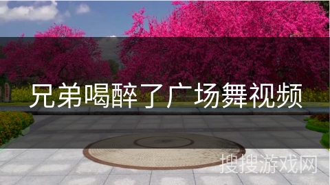 兄弟喝醉了广场舞视频