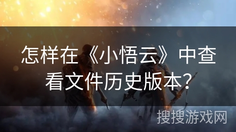 怎样在《小悟云》中查看文件历史版本？