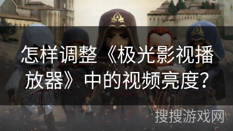 怎样调整《极光影视播放器》中的视频亮度？