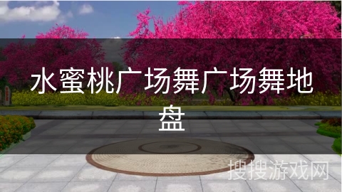 水蜜桃广场舞广场舞地盘