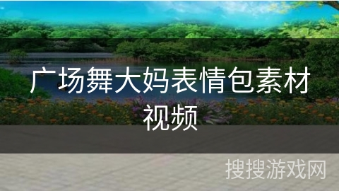 广场舞大妈表情包素材视频
