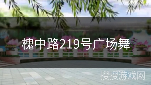 槐中路219号广场舞